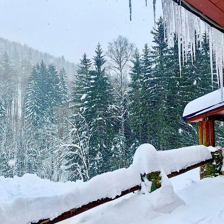 Penzion Horajda Hotel Vítkovice Eksteriør billede