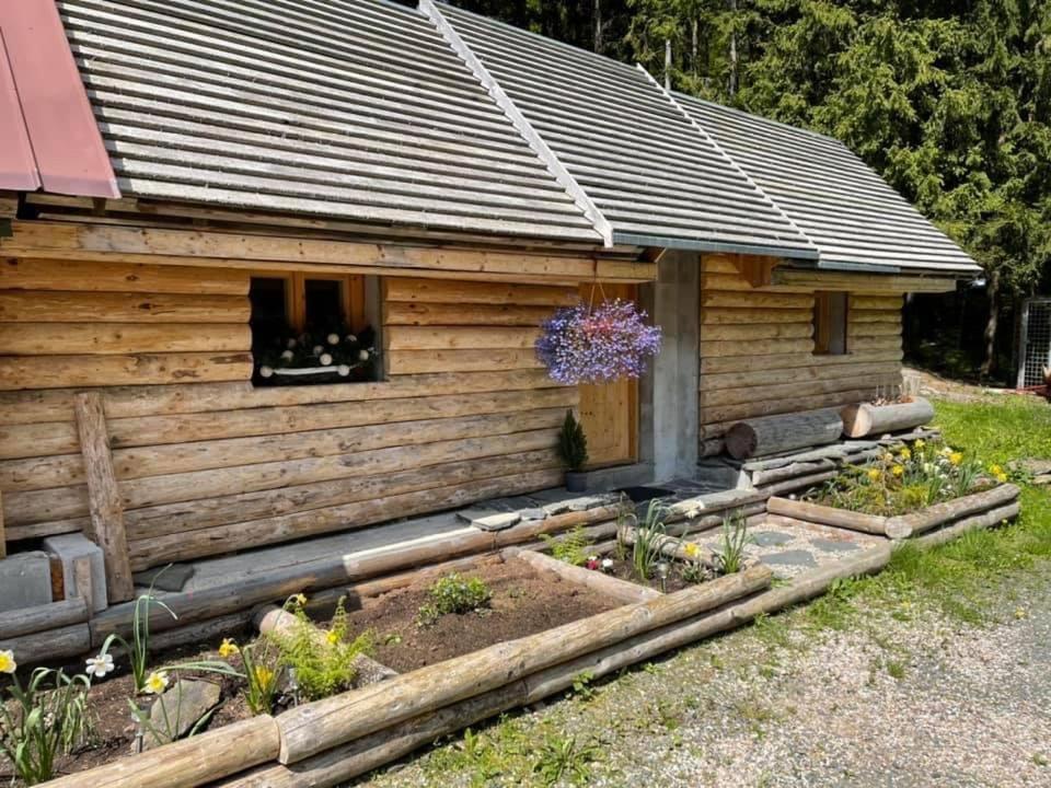 Penzion Horajda Hotel Vítkovice Eksteriør billede