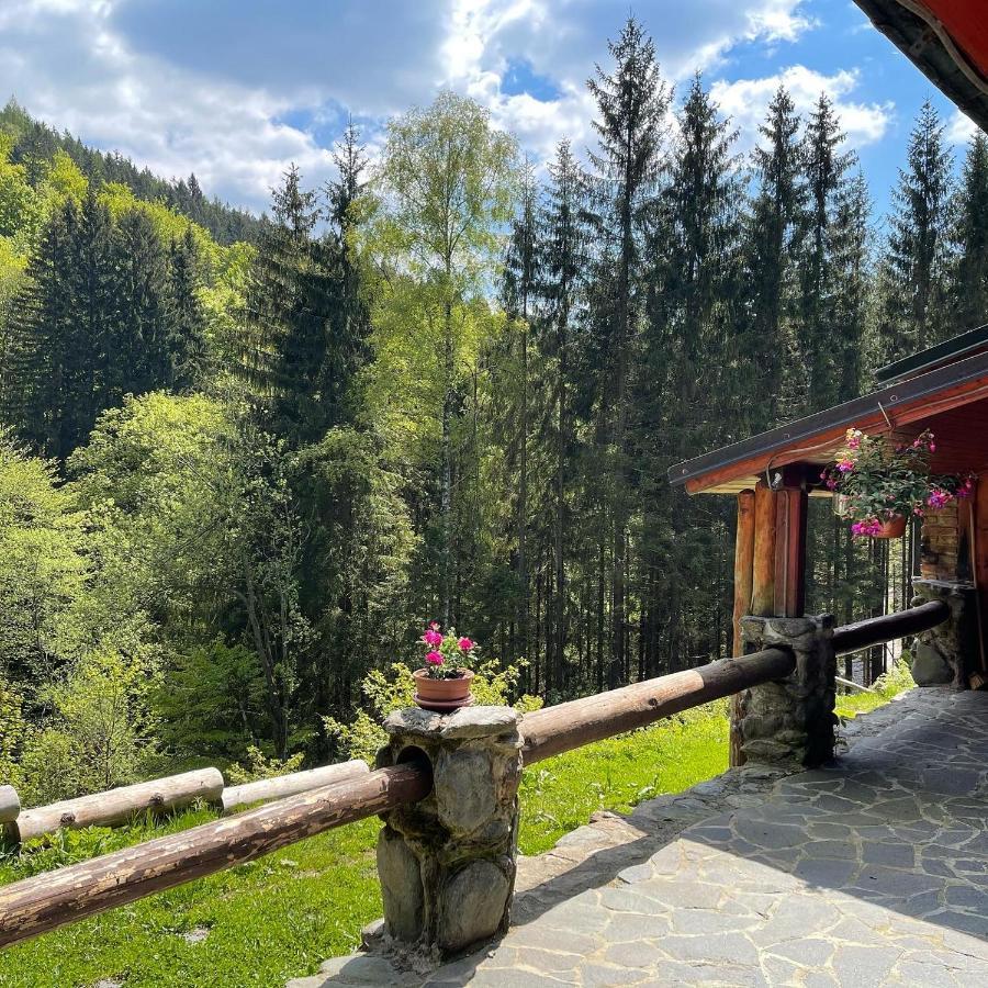 Penzion Horajda Hotel Vítkovice Eksteriør billede
