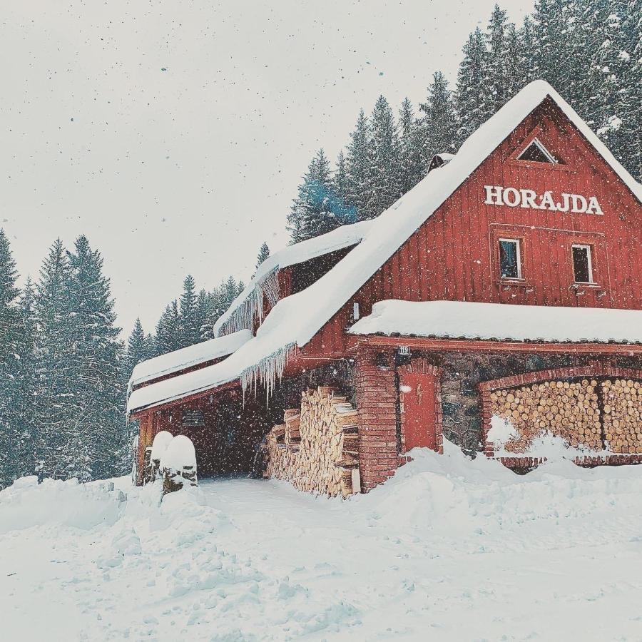 Penzion Horajda Hotel Vítkovice Eksteriør billede